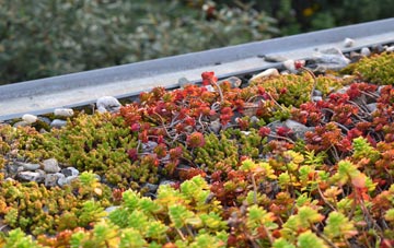 the cost of Monkhopton green roof installation
